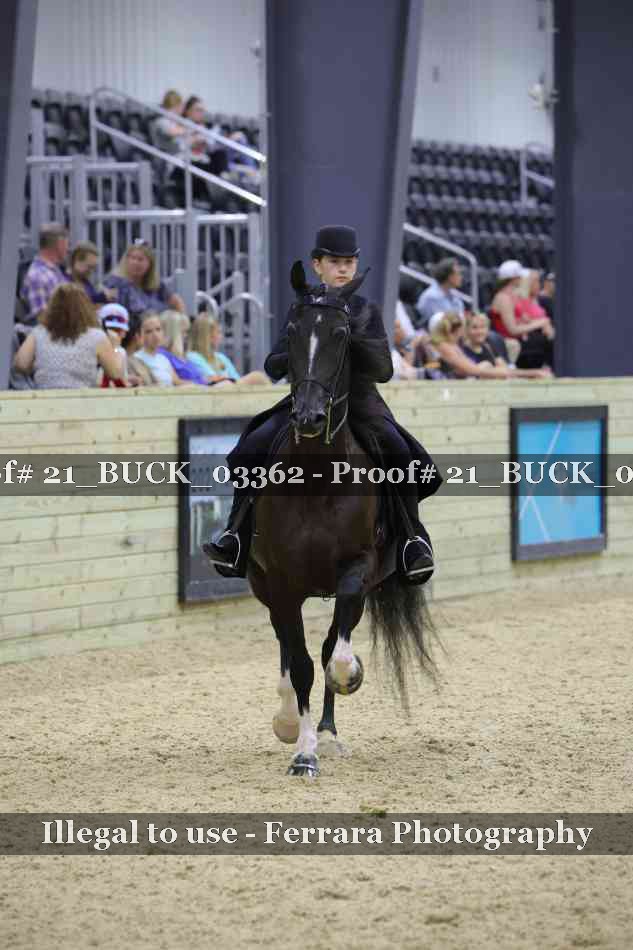 Proof 21_BUCK_03362