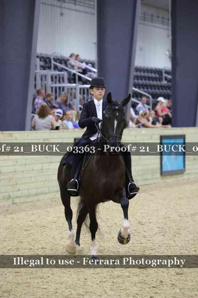 Proof 21_BUCK_03363