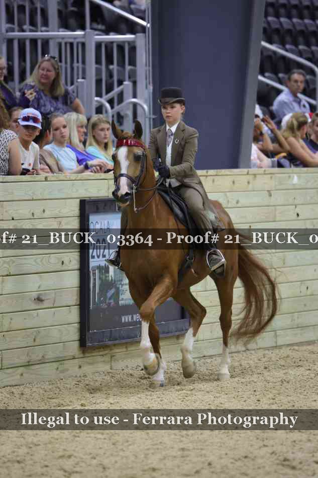 Proof 21_BUCK_03364