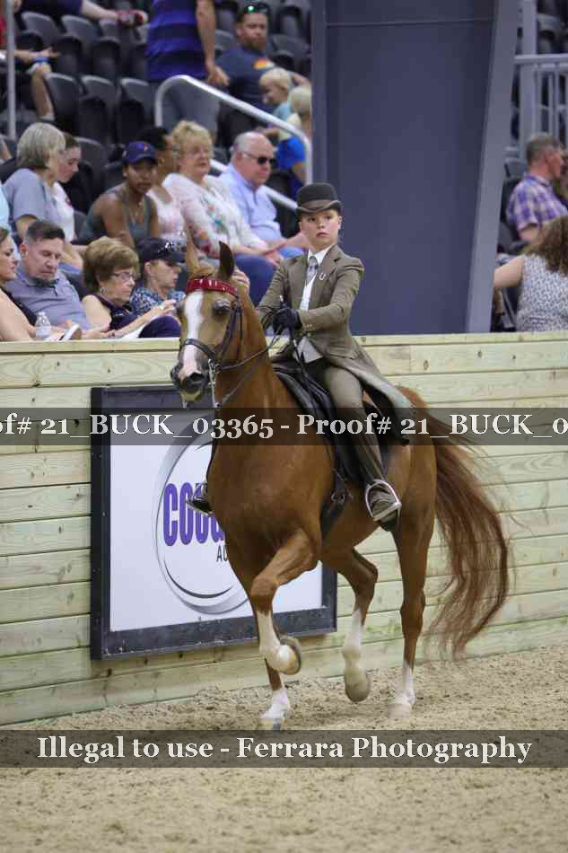 Proof 21_BUCK_03365