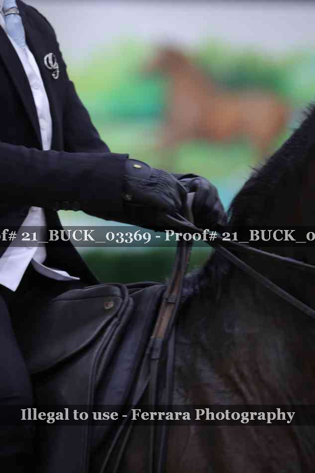 Proof 21_BUCK_03369