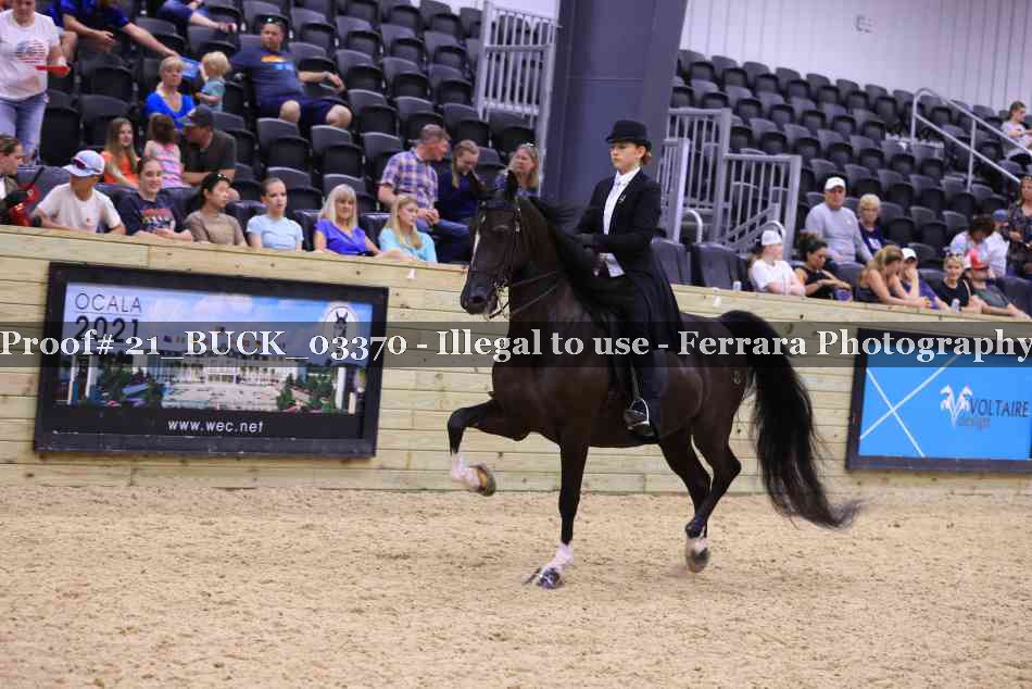 Proof 21_BUCK_03370