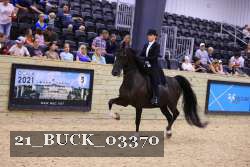21_BUCK_03370 proof