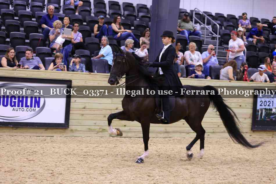 Proof 21_BUCK_03371