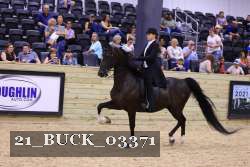21_BUCK_03371 proof
