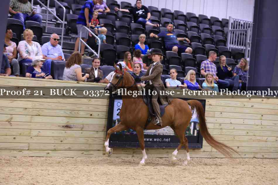 Proof 21_BUCK_03372