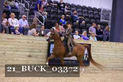 21_BUCK_03372 proof