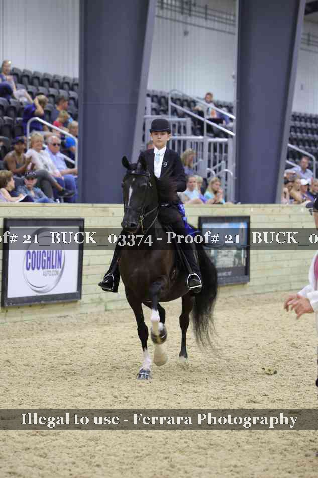 Proof 21_BUCK_03374