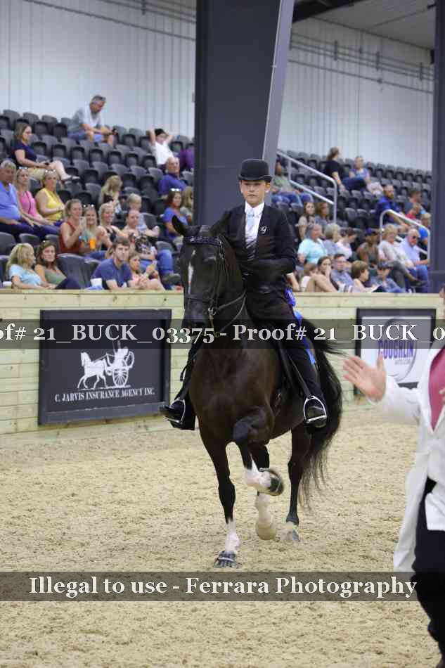 Proof 21_BUCK_03375
