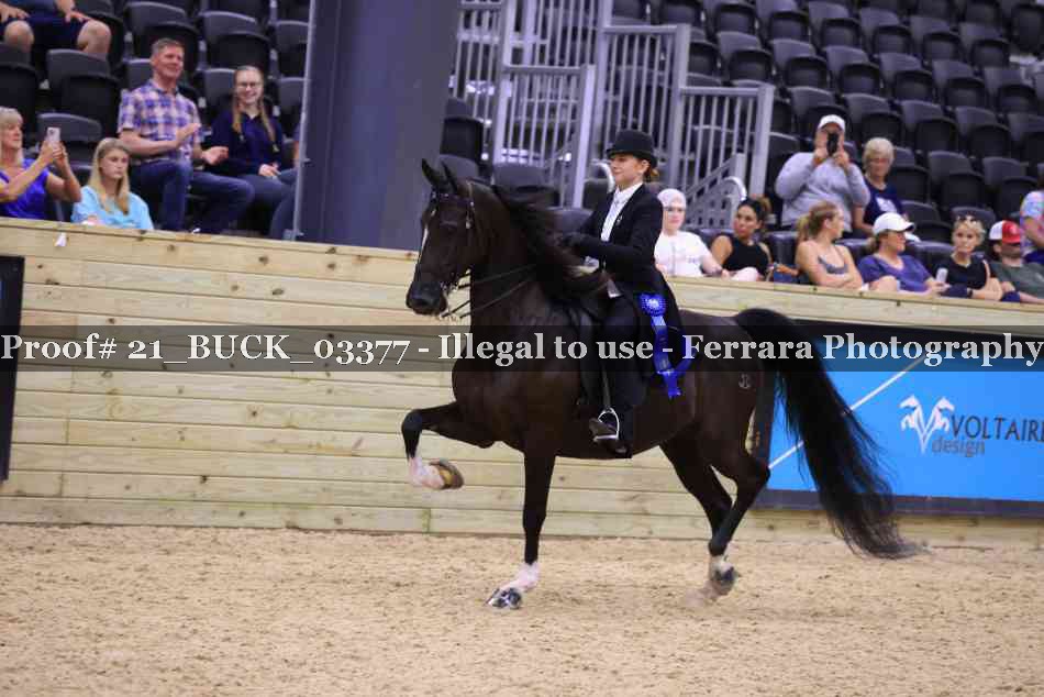Proof 21_BUCK_03377