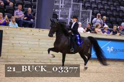 21_BUCK_03377 proof