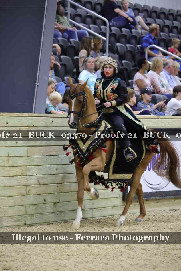 Proof 21_BUCK_03379