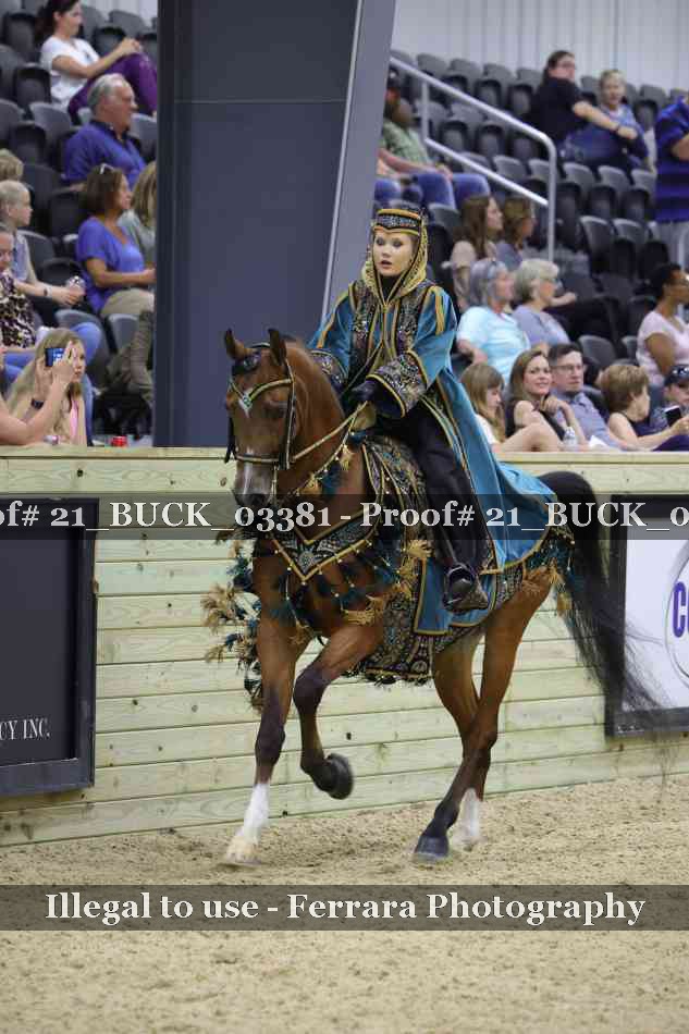Proof 21_BUCK_03381
