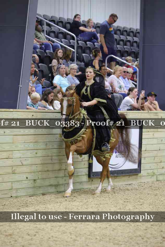 Proof 21_BUCK_03383