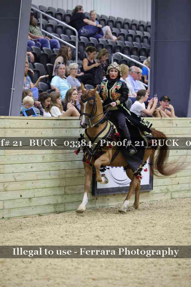 Proof 21_BUCK_03384