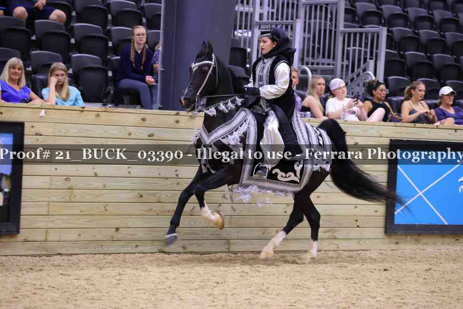 Proof 21_BUCK_03390