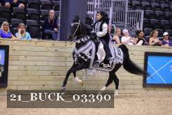 21_BUCK_03390 proof