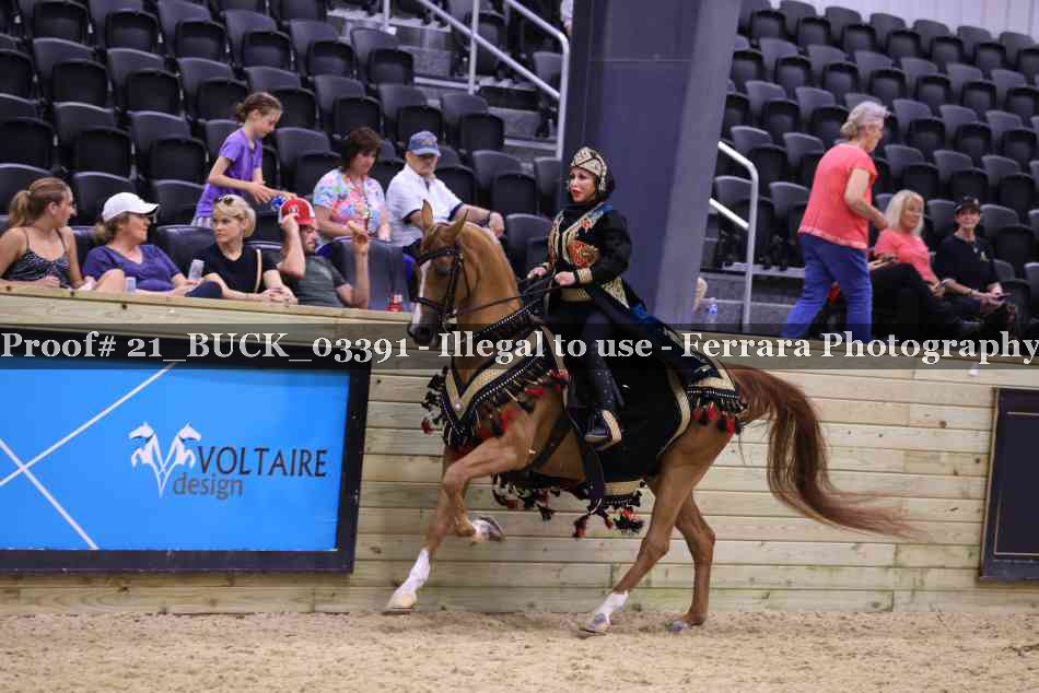 Proof 21_BUCK_03391