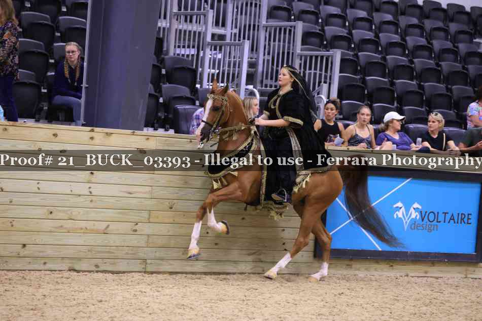 Proof 21_BUCK_03393