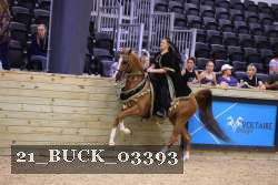 21_BUCK_03393 proof