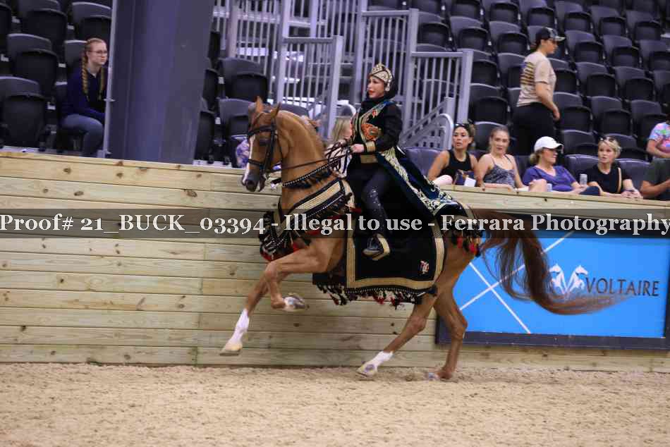 Proof 21_BUCK_03394