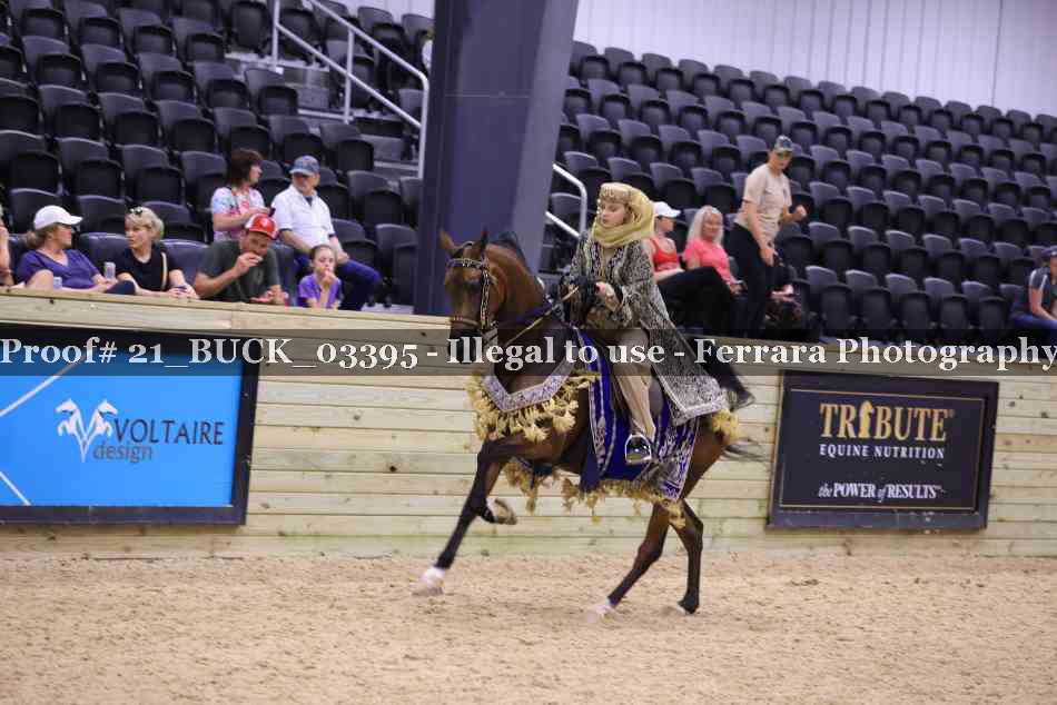 Proof 21_BUCK_03395