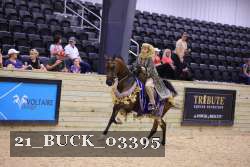 21_BUCK_03395 proof