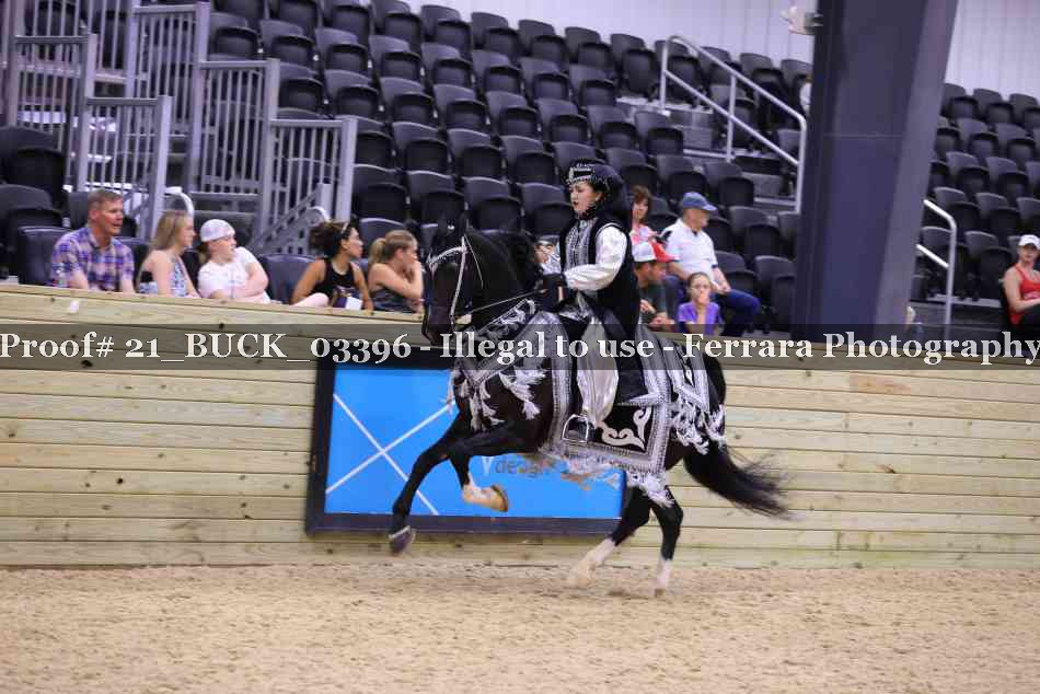 Proof 21_BUCK_03396