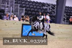 21_BUCK_03396 proof