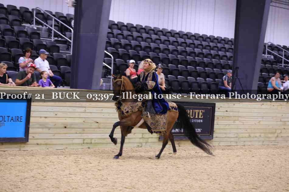 Proof 21_BUCK_03397