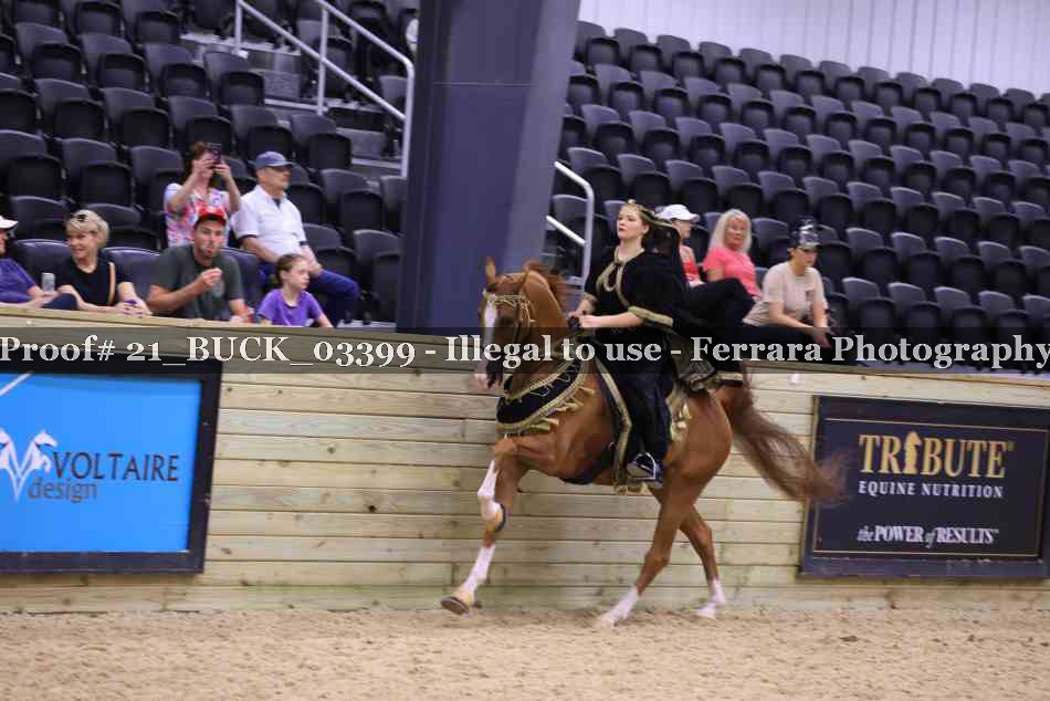 Proof 21_BUCK_03399