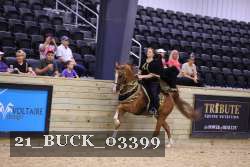 21_BUCK_03399 proof