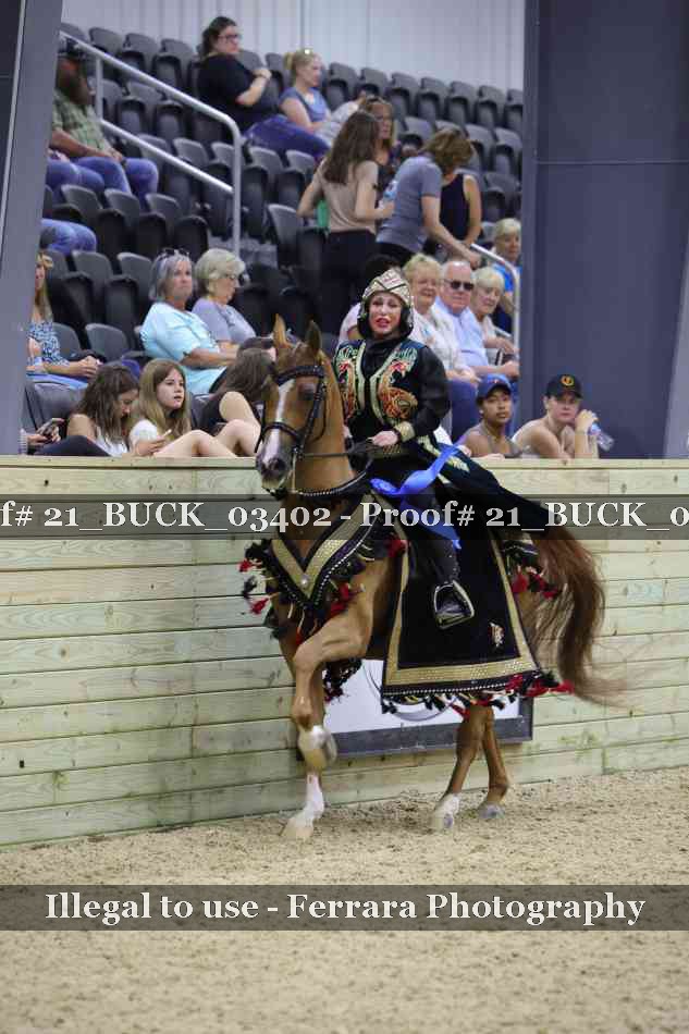 Proof 21_BUCK_03402