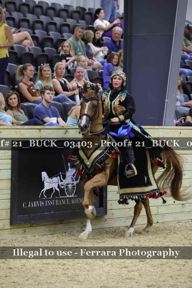 Proof 21_BUCK_03403