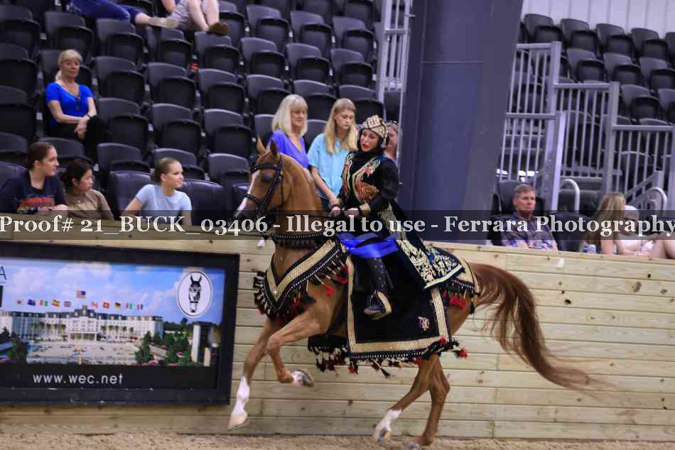 Proof 21_BUCK_03406