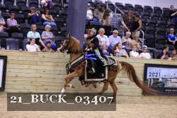 21_BUCK_03407 proof