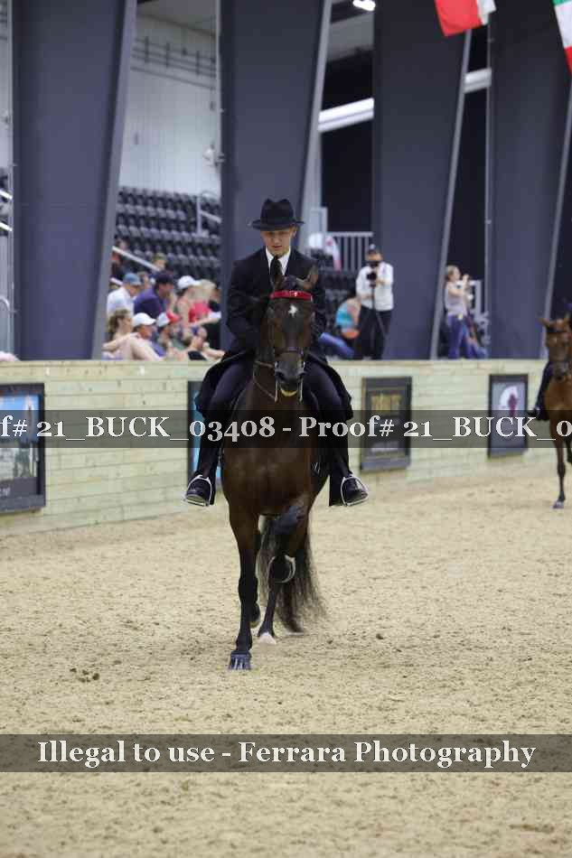 Proof 21_BUCK_03408