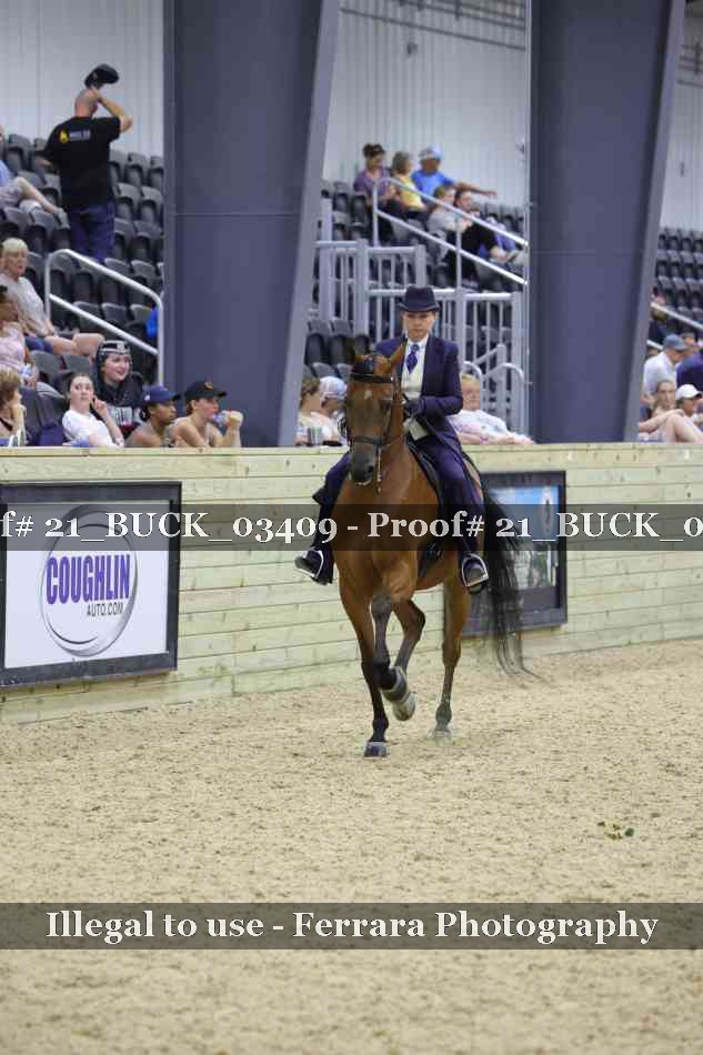 Proof 21_BUCK_03409