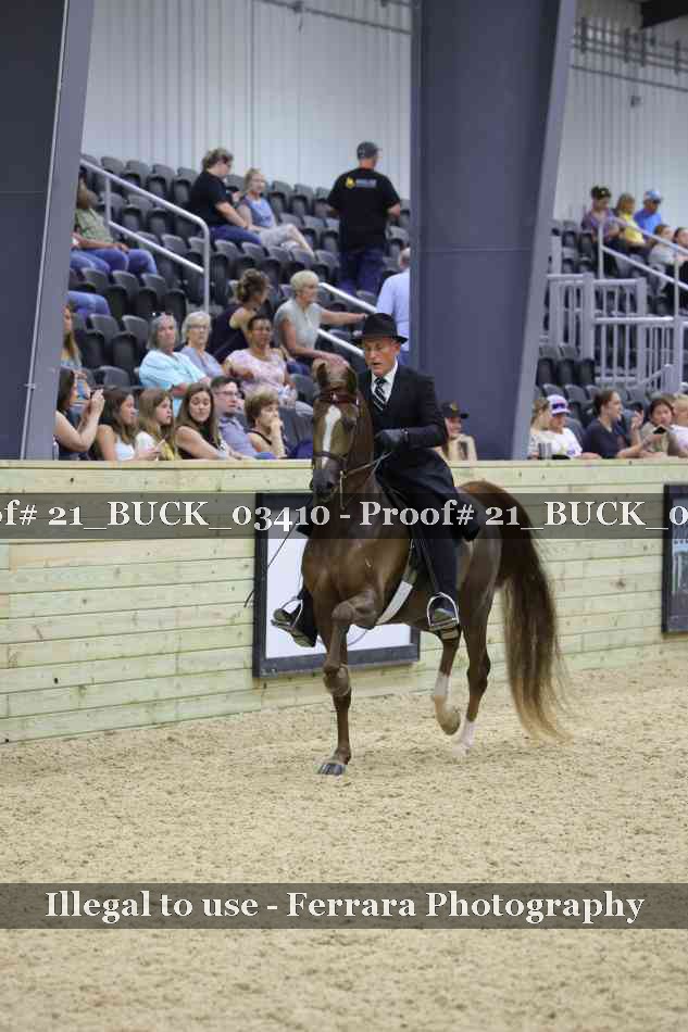 Proof 21_BUCK_03410