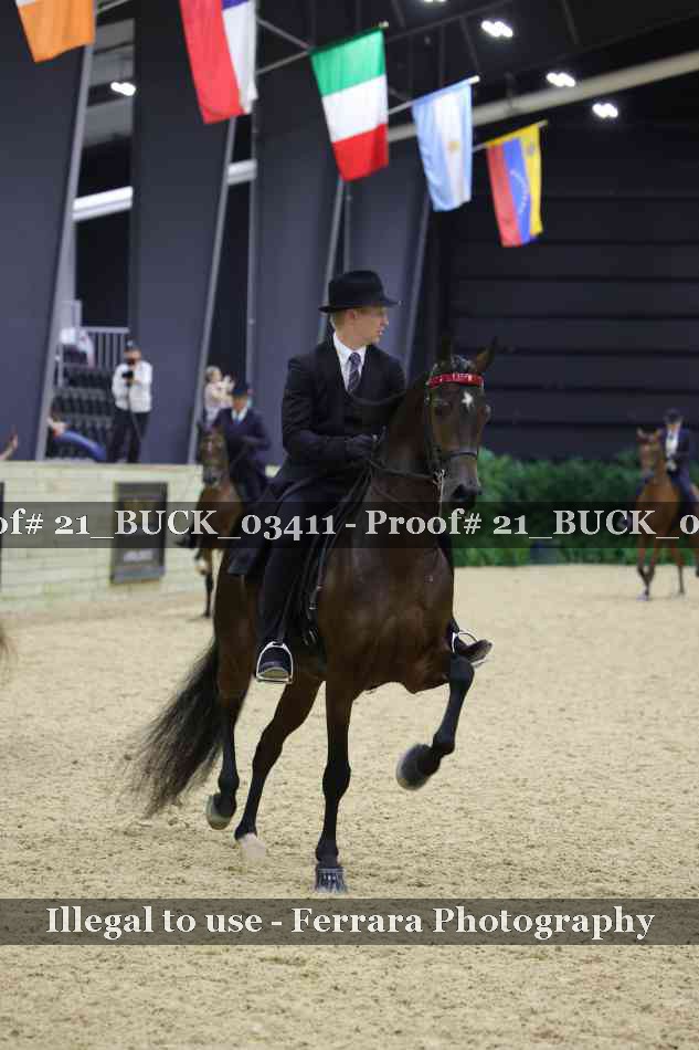 Proof 21_BUCK_03411