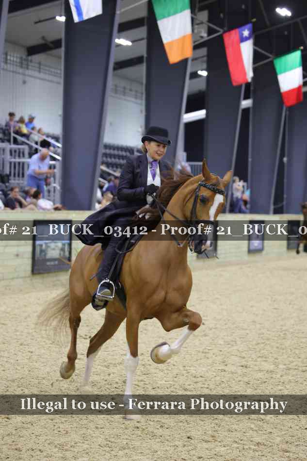 Proof 21_BUCK_03412