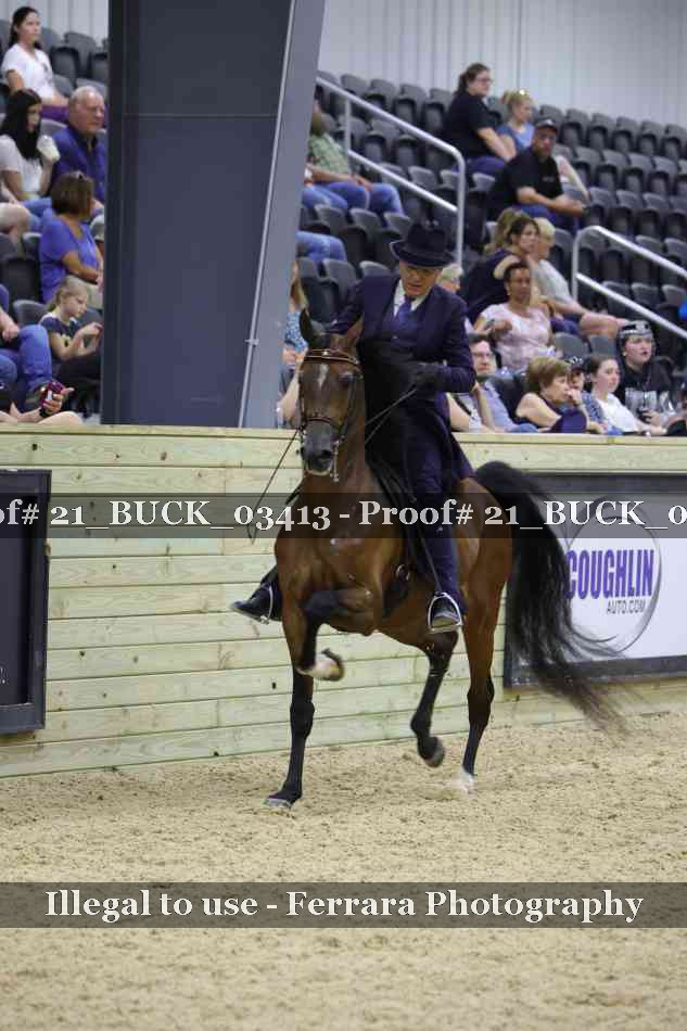 Proof 21_BUCK_03413