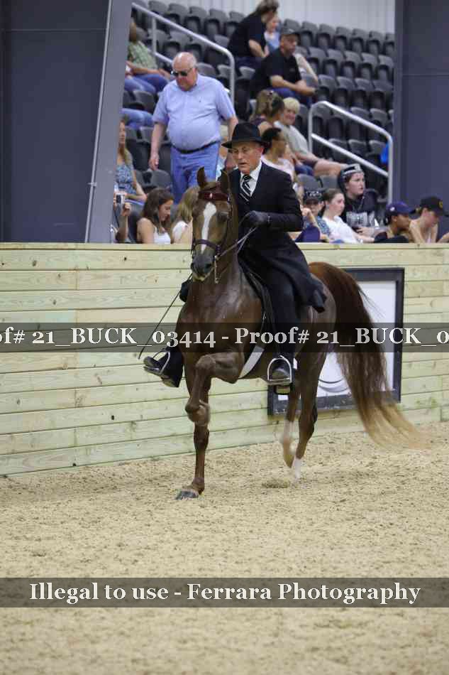 Proof 21_BUCK_03414