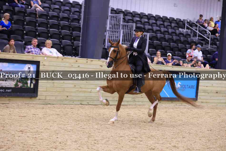 Proof 21_BUCK_03416