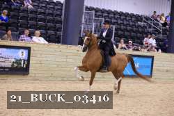 21_BUCK_03416 proof