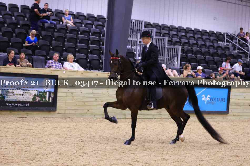 Proof 21_BUCK_03417