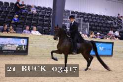 21_BUCK_03417 proof