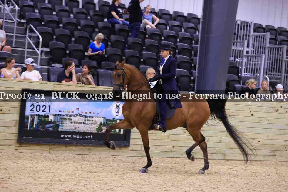 Proof 21_BUCK_03418