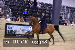 21_BUCK_03418 proof