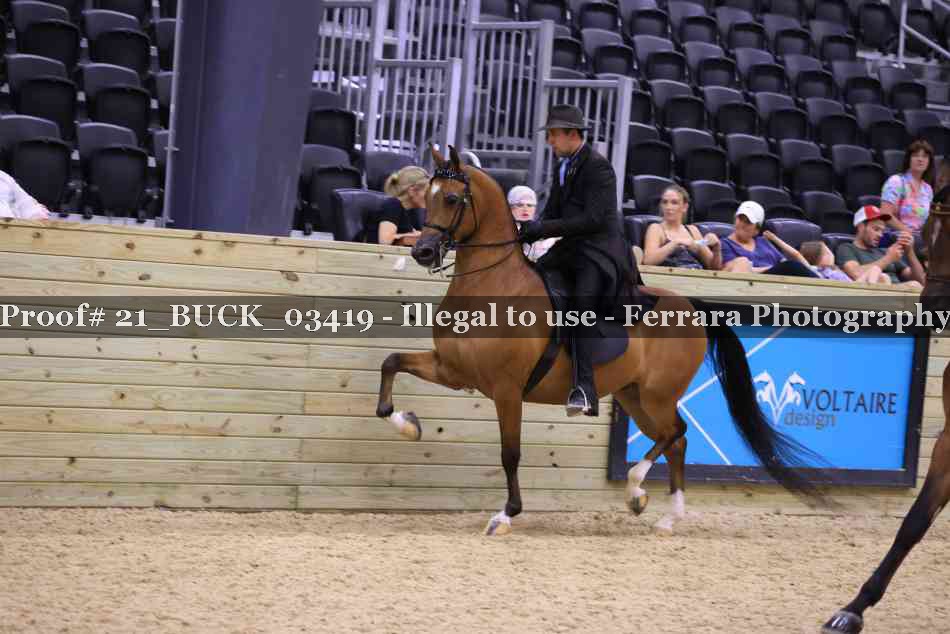 Proof 21_BUCK_03419